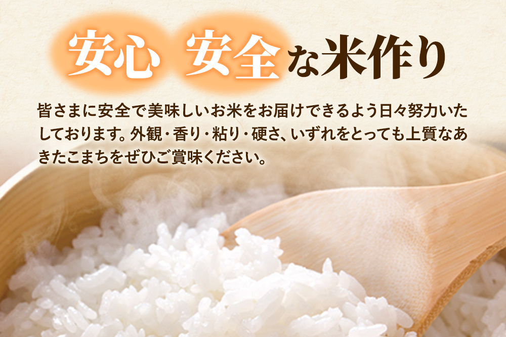 米 あきたこまち 白米 5kg 秋田県 大仙市 伊藤精米店