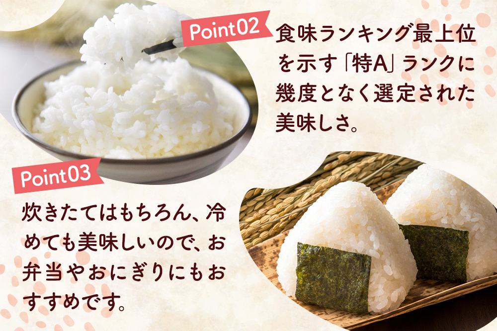 【定期便3ヶ月】《令和7年産 新米受付》米 特別栽培米 あきたこまち【精白米】10kg（10kg×1袋）ローズメイ 秋田県 大仙市産