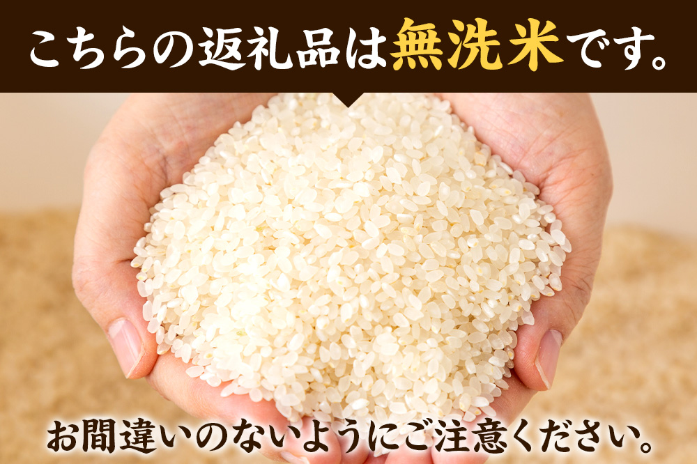 ＜令和7年産 新米受付＞《定期便5ヶ月》米【無洗米】秋田県大仙市産 あきたこまち 精米 10kg（5kg×2袋）令和7年産