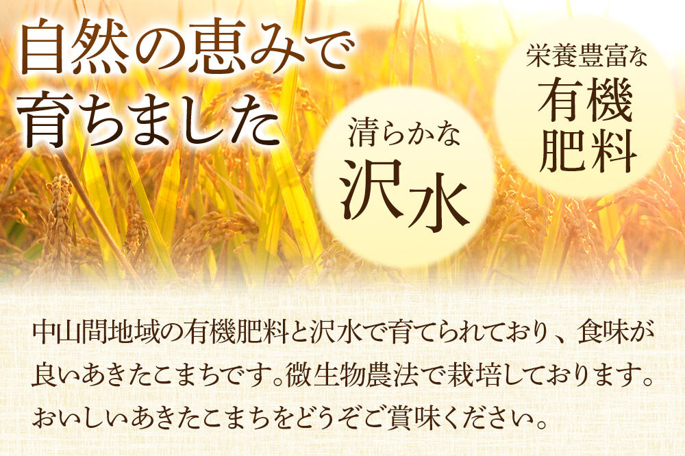 《令和8年産 新米受付》 あきたこまち 秋田県大仙市産  有機肥料と沢水で育てたあきたこまち 白米5kg（1袋） [新米 先行受付 令和8年 米 あきたこまち お米 こめ ブランド米 玄米 米どころ 有機肥料 沢水 秋田 秋田県産 大仙市 5kg]