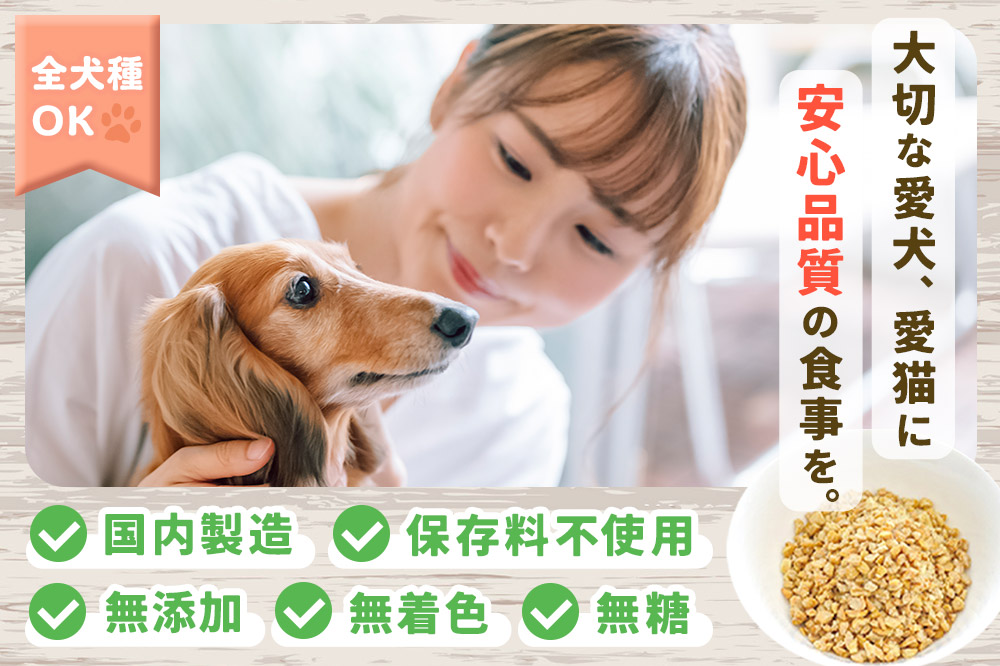 犬猫用 あとのせ納豆ふりかけ（たっぷりサイズ）100g×6個 計600g ペット