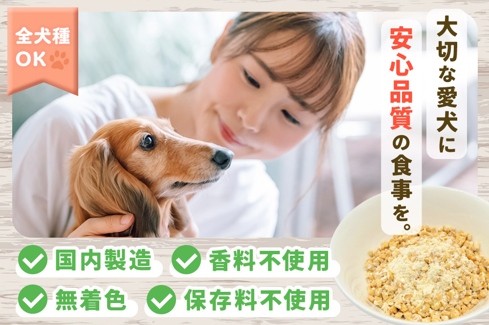 犬用 チーズ入り納豆ふりかけ（レギュラーサイズ）50g×4個 計200g  ペット