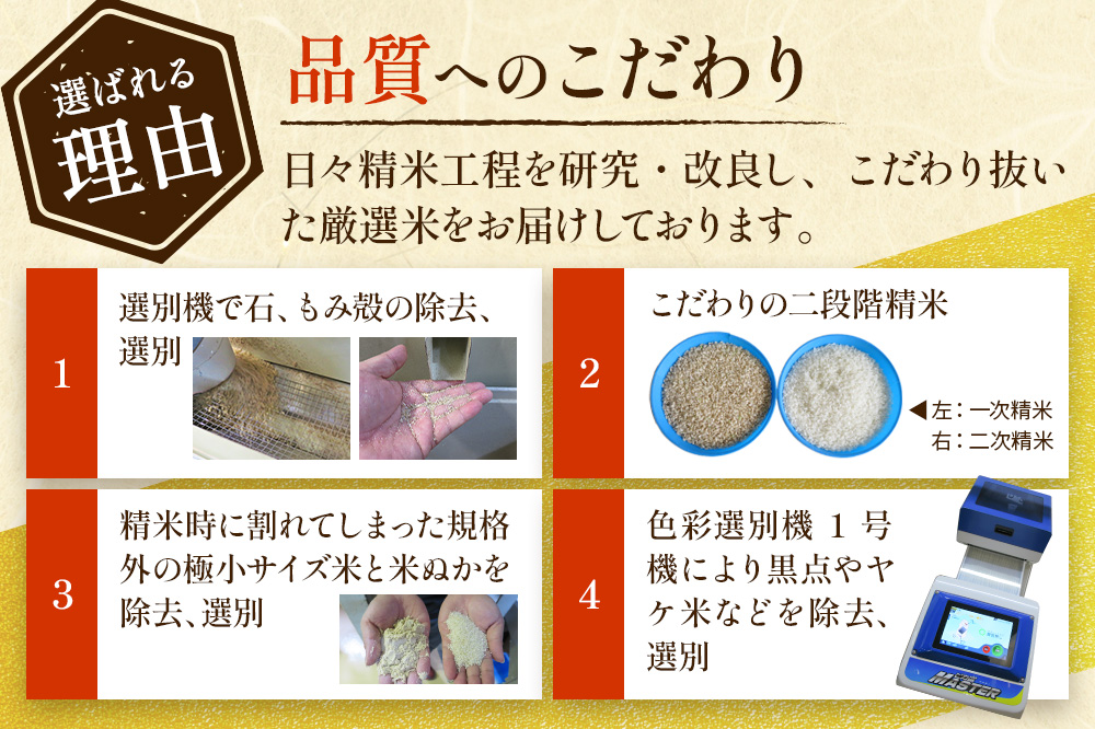 《定期便3ヶ月》10kg（5kg×2袋）大手有名百貨店出荷米 あきたこまち【白米】令和7年産 米 お米