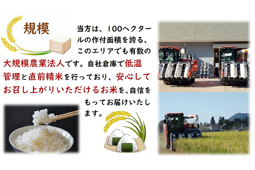 新米 米 令和7年産 秋田県産あきたこまち 一等米 農家直送 無洗米5kg 内小友ファーム