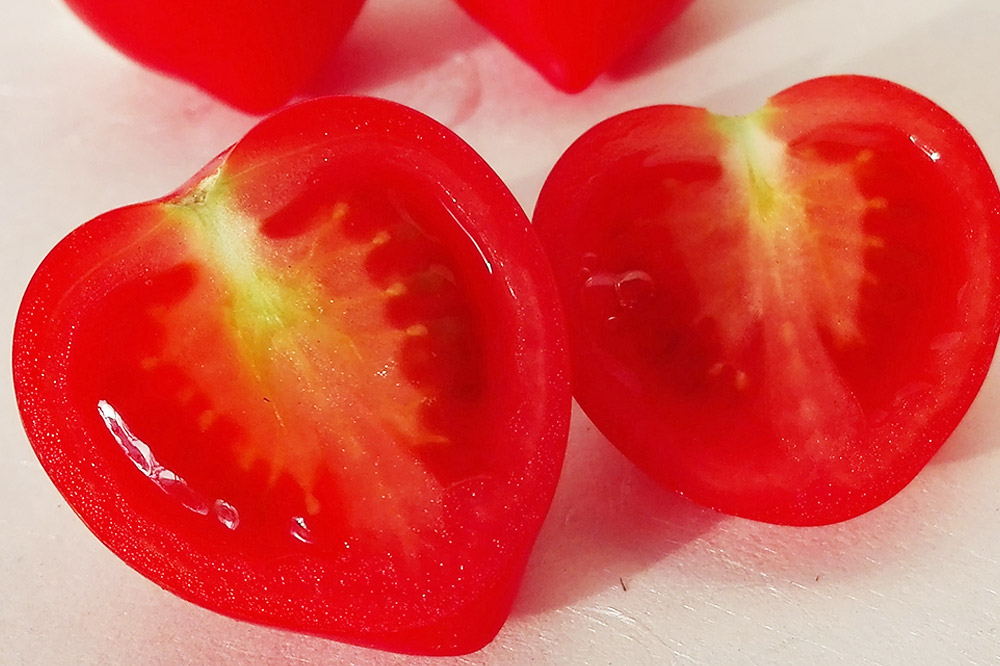 秋田県産ミニトマト「恋ベリー」500g（250g×2）ギフトBOX 高糖度 とまと 野菜 新鮮 甘い