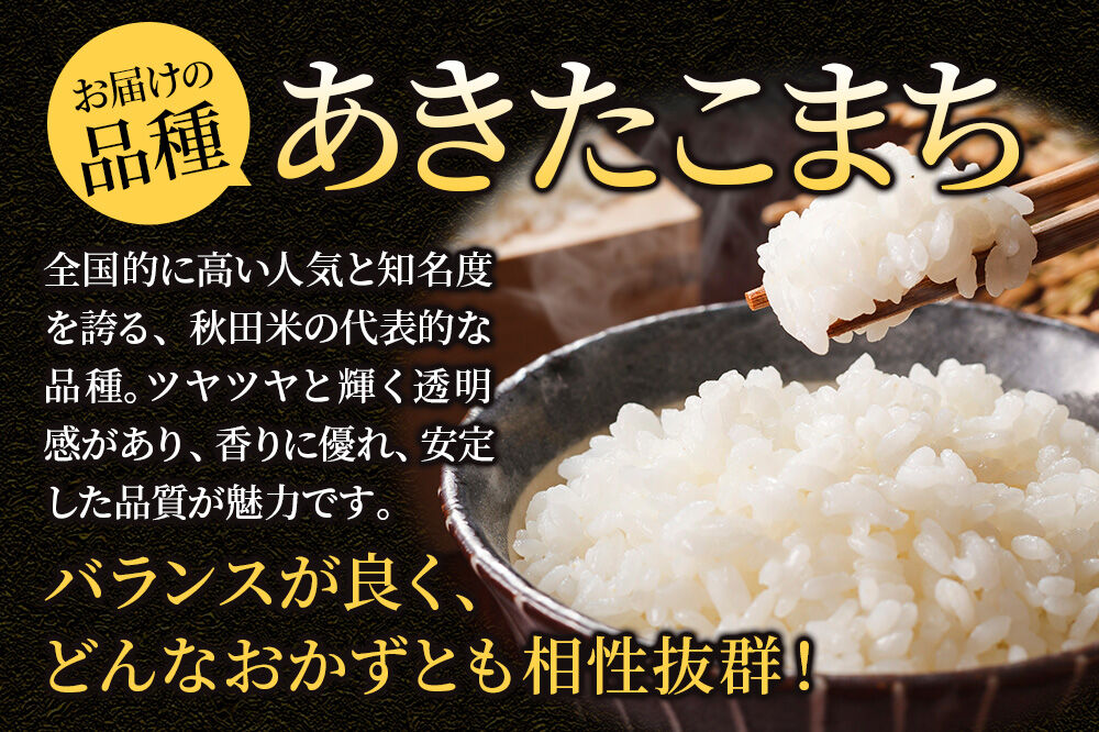 《定期便5ヶ月》米 あきたこまち【白米】30kg（5kg×6袋）秋田県大仙市産 精米 令和7年産 [通算18回 特A 秋田県産 あきたこまち アキタコマチ 秋田こまち 秋田小町 コメ kome 米どころ 5 キロ 小分け ご飯 ごはん サンファーム西木 大仙市]