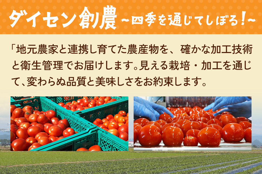 毎日がとまと曜日トマトジュース 2種 各10パック 詰め合わせ 【ダイセン創農】