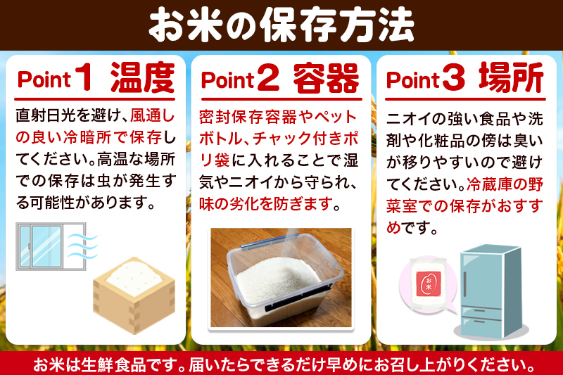 米 新米 令和7年産《定期便6ヶ月》【白米】あきたこまち 5kg 秋田県 大仙市産