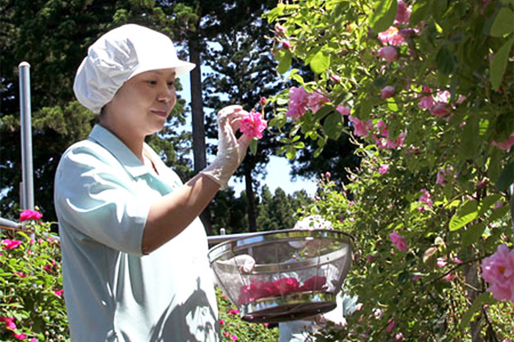 秋田薔薇園産 ガリカ薔薇ジャム 150g×2個 ローズメイ
