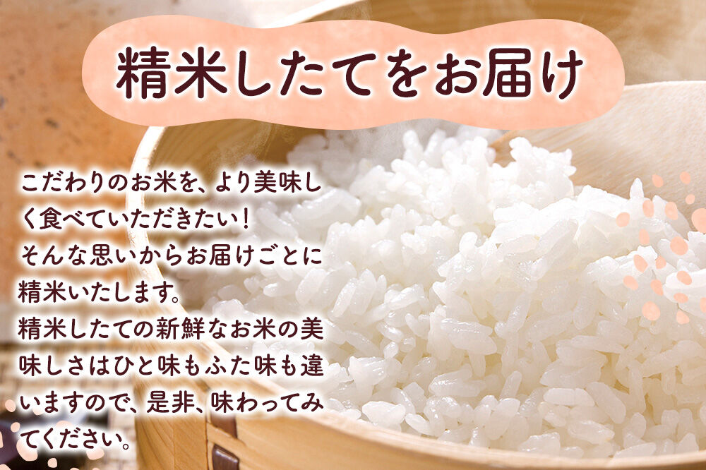 米 特別栽培米 あきたこまち【精白米】10kg×1袋 ローズメイ 秋田県 大仙市産 [こめ コメ 米 特別栽培米 白米 あきたこまち 粘り 冷めても おいしい 中仙さくらファーム 全国優良経営体 農林水産大臣賞 減農薬 減化学肥料 秋田県 大仙市産]