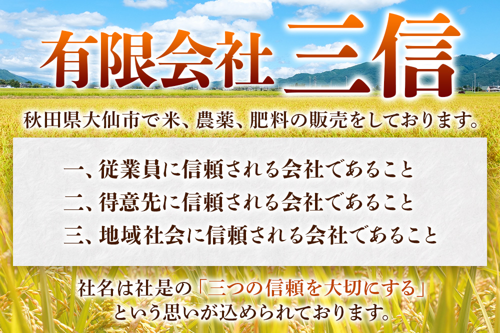 新米 令和7年産《定期便8ヶ月》米【白米】米どころ秋田県大仙市産 あきたこまち 精米5kg（5kg×1袋）