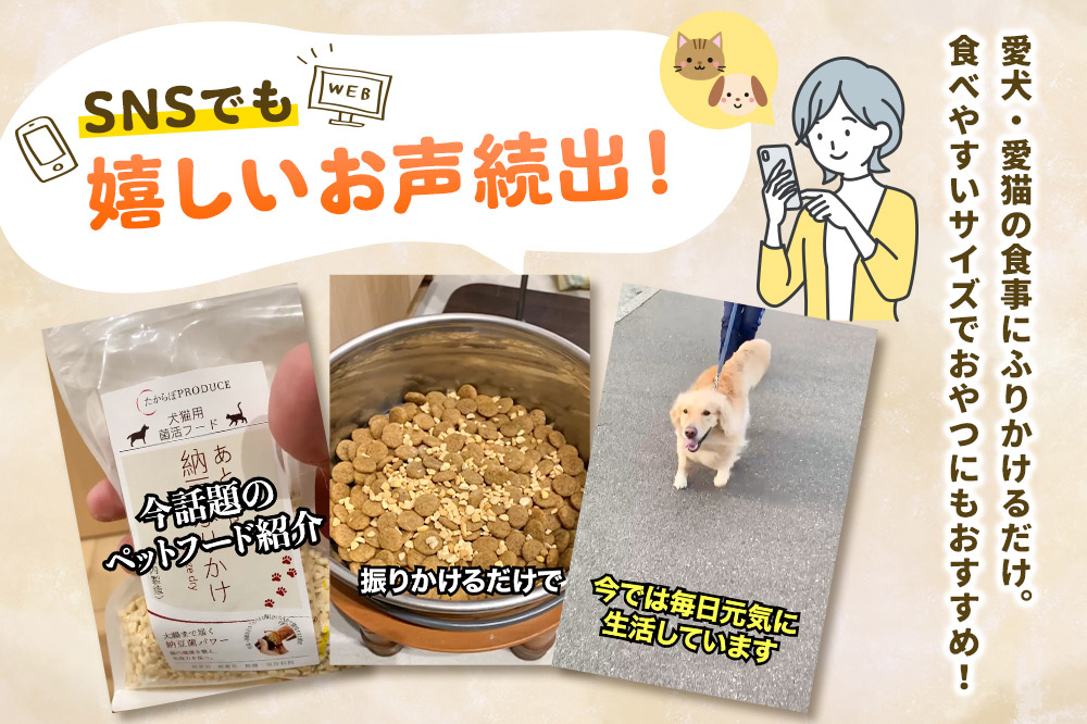 犬猫用 あとのせ納豆ふりかけ（たっぷりサイズ）100g×6個 計600g ペット