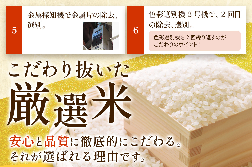 5kg（5kg×1袋）大手有名百貨店出荷米 あきたこまち【白米】令和7年産 米 お米
