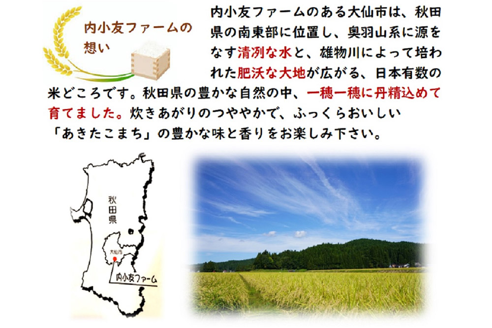 新米 米 令和7年産 秋田県産あきたこまち 一等米 農家直送 無洗米5kg 内小友ファーム