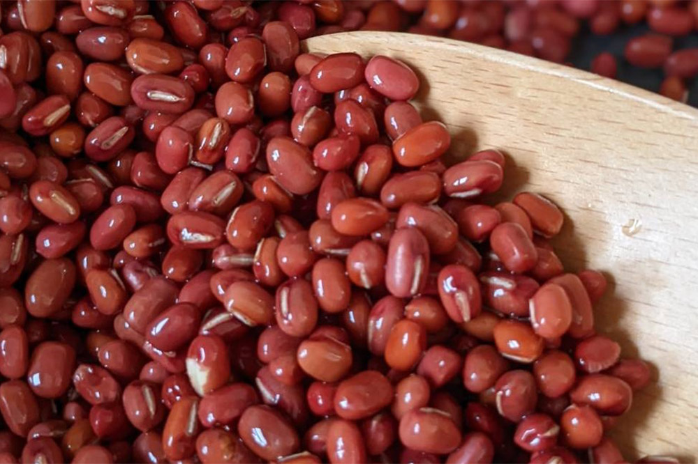 発酵あずき2個セット［特選雅 ペースト］砂糖・保存料不使用