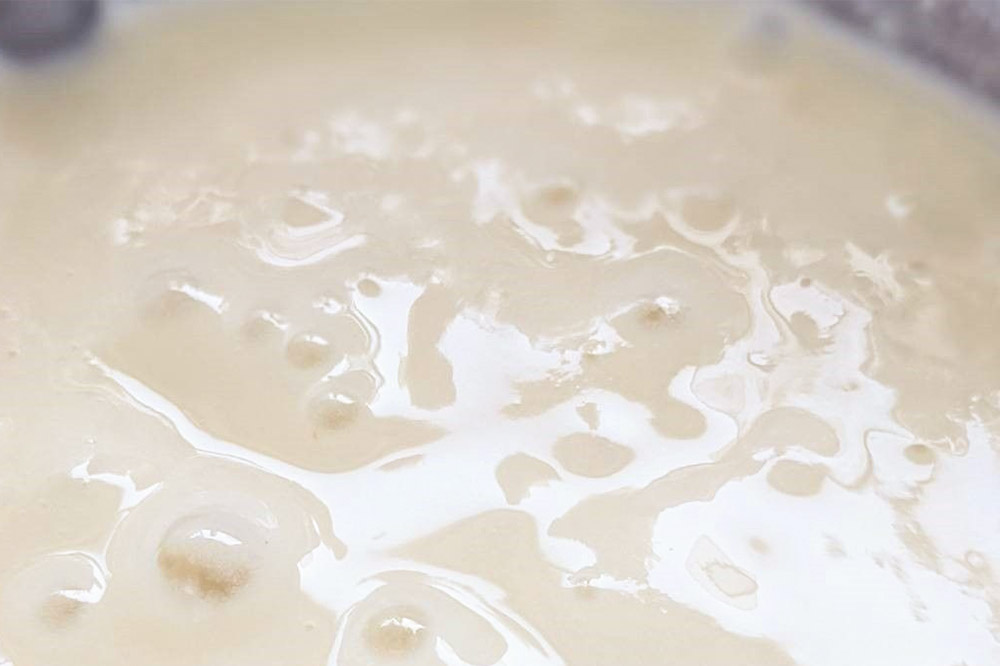 雪国ぷりん9個セット［糀シロップ］砂糖・保存料不使用 プリン スイーツ