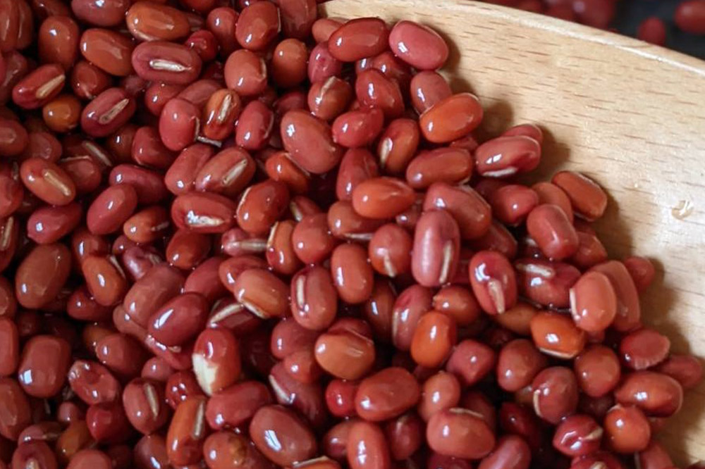 発酵あずき2個セット［特選雅 粒・ペースト］140g×各1 砂糖・保存料不使用