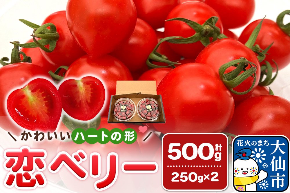 秋田県産ミニトマト「恋ベリー」500g（250g×2）ギフトBOX 高糖度 とまと 野菜 新鮮 甘い