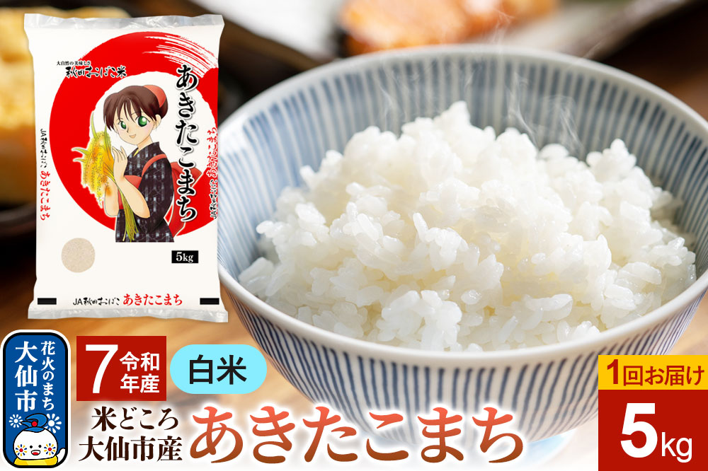 米 令和7年産【白米】あきたこまち 5kg 秋田県 大仙市産