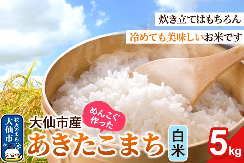 米 あきたこまち 白米 5kg 秋田県 大仙市 伊藤精米店