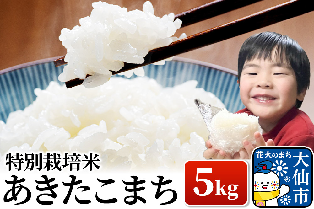 米 令和7年産【特別栽培米】あきたこまち【精米】5kg