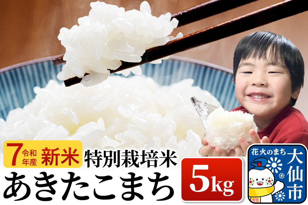新米 米 令和7年産【特別栽培米】あきたこまち【精米】5kg