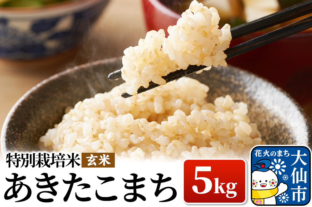 米 令和7年産【特別栽培米】あきたこまち【玄米】5kg