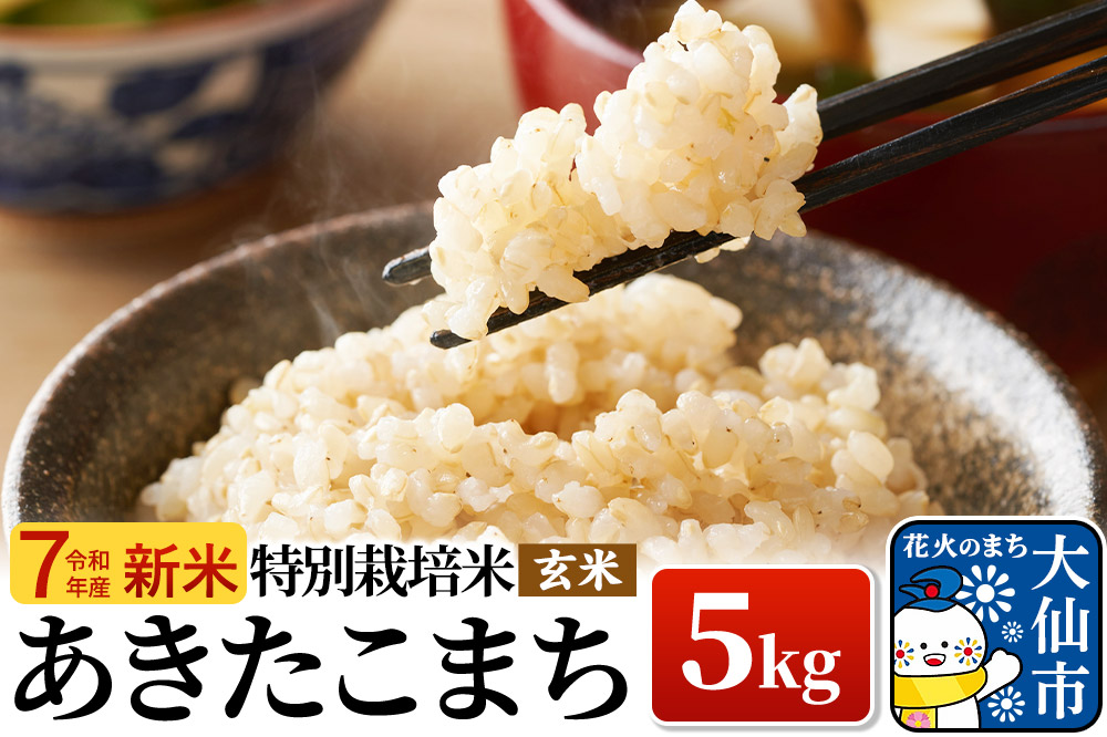 新米 米 令和7年産【特別栽培米】あきたこまち【玄米】5kg