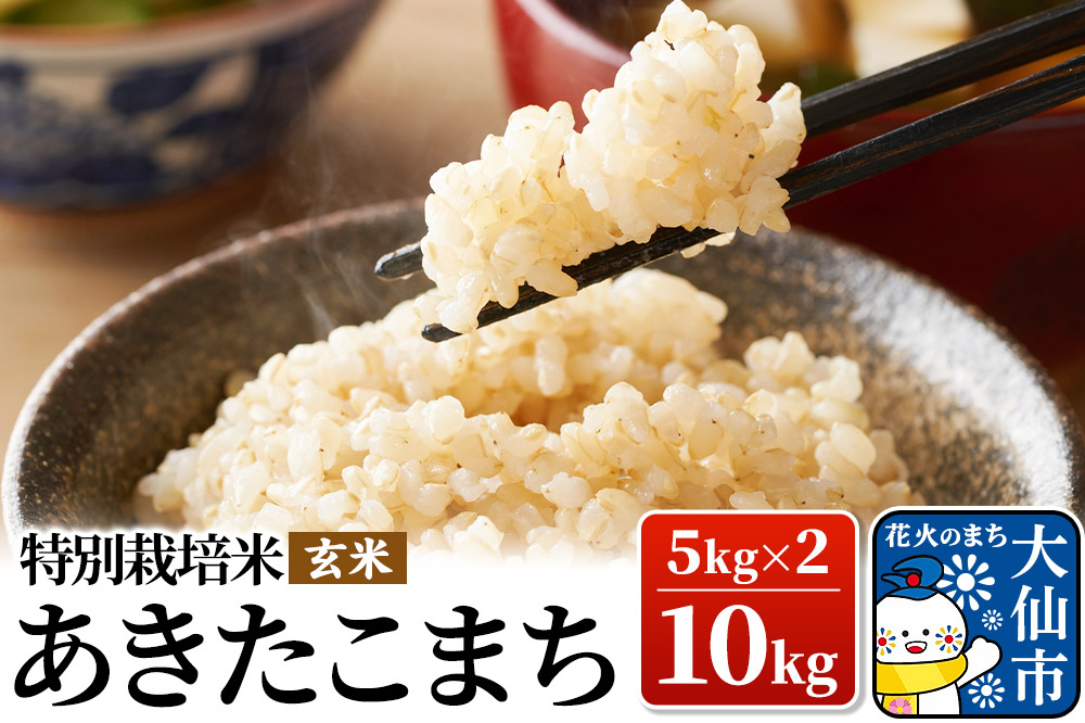 米 令和7年産【特別栽培米】あきたこまち【玄米】10kg（5kg×2）
