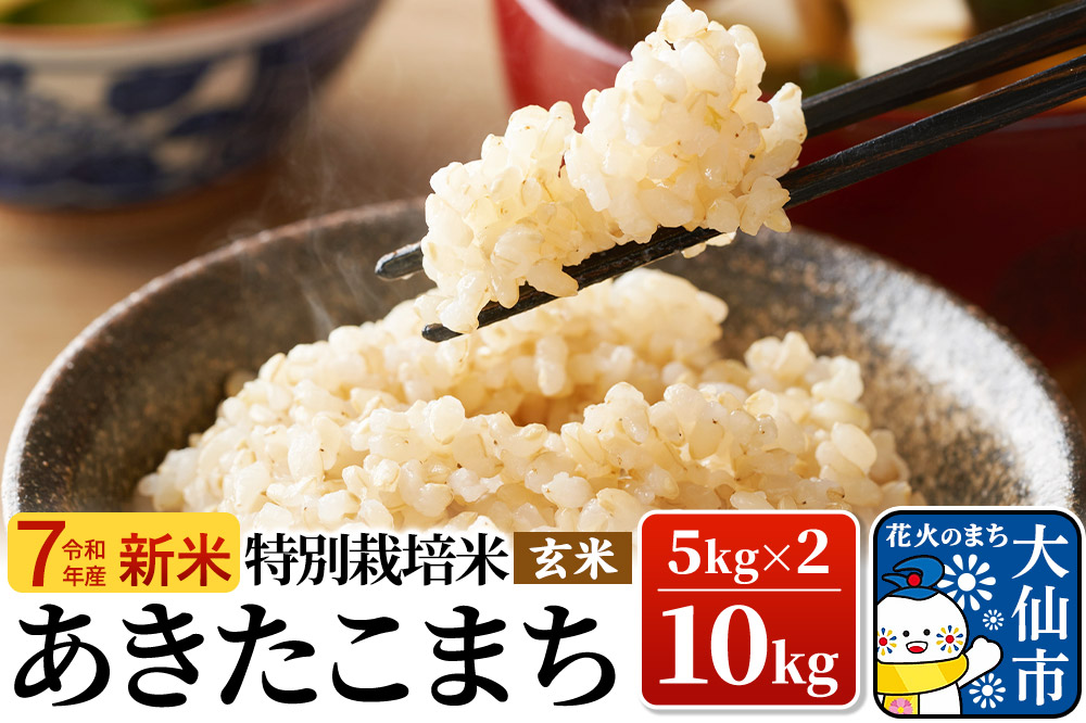 新米 米 令和7年産【特別栽培米】あきたこまち【玄米】10kg（5kg×2）