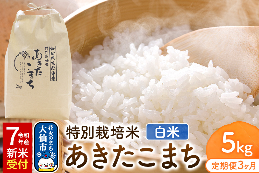 【定期便3ヶ月】《令和7年産 新米受付》米 特別栽培米 あきたこまち【精白米】5kg（5kg×1袋）ローズメイ 秋田県 大仙市産