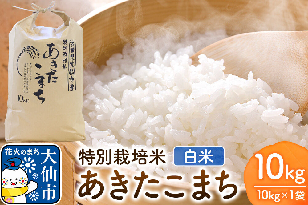 米 特別栽培米 あきたこまち【精白米】10kg×1袋 ローズメイ 秋田県 大仙市産 [こめ コメ 米 特別栽培米 白米 あきたこまち 粘り 冷めても おいしい 中仙さくらファーム 全国優良経営体 農林水産大臣賞 減農薬 減化学肥料 秋田県 大仙市産]