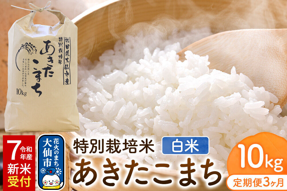 《定期便3ヶ月》米 特別栽培米 あきたこまち【精白米】10kg（10kg×1袋）ローズメイ 秋田県 大仙市産