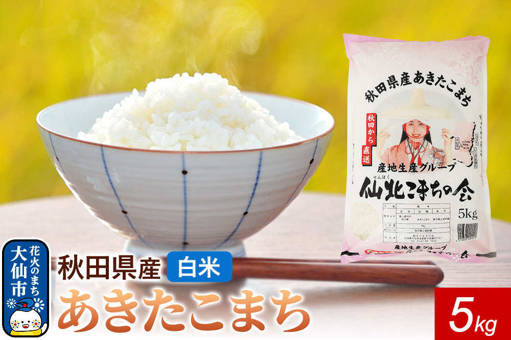 米 令和7年産 秋田県産 あきたこまち【白米】5kg 秋田県 大仙市産
