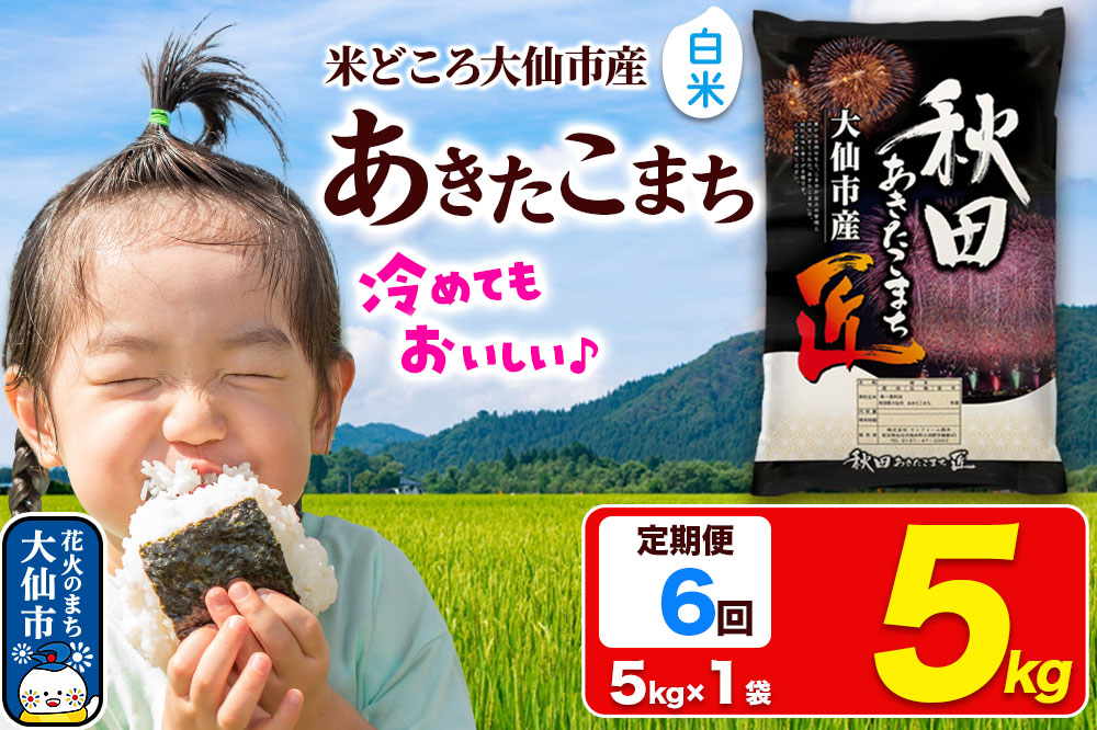 《定期便6ヶ月》米【白米】秋田県大仙市産 あきたこまち 精米 5kg 令和7年産