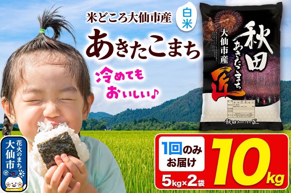 米【白米】秋田県大仙市産 あきたこまち 精米 10kg（5kg×2袋）令和7年産