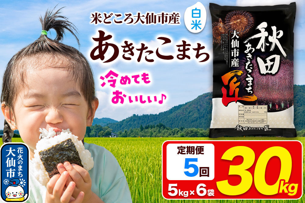 《定期便5ヶ月》米 あきたこまち【白米】30kg（5kg×6袋）秋田県大仙市産 精米 令和7年産 [通算18回 特A 秋田県産 あきたこまち アキタコマチ 秋田こまち 秋田小町 コメ kome 米どころ 5 キロ 小分け ご飯 ごはん サンファーム西木 大仙市]