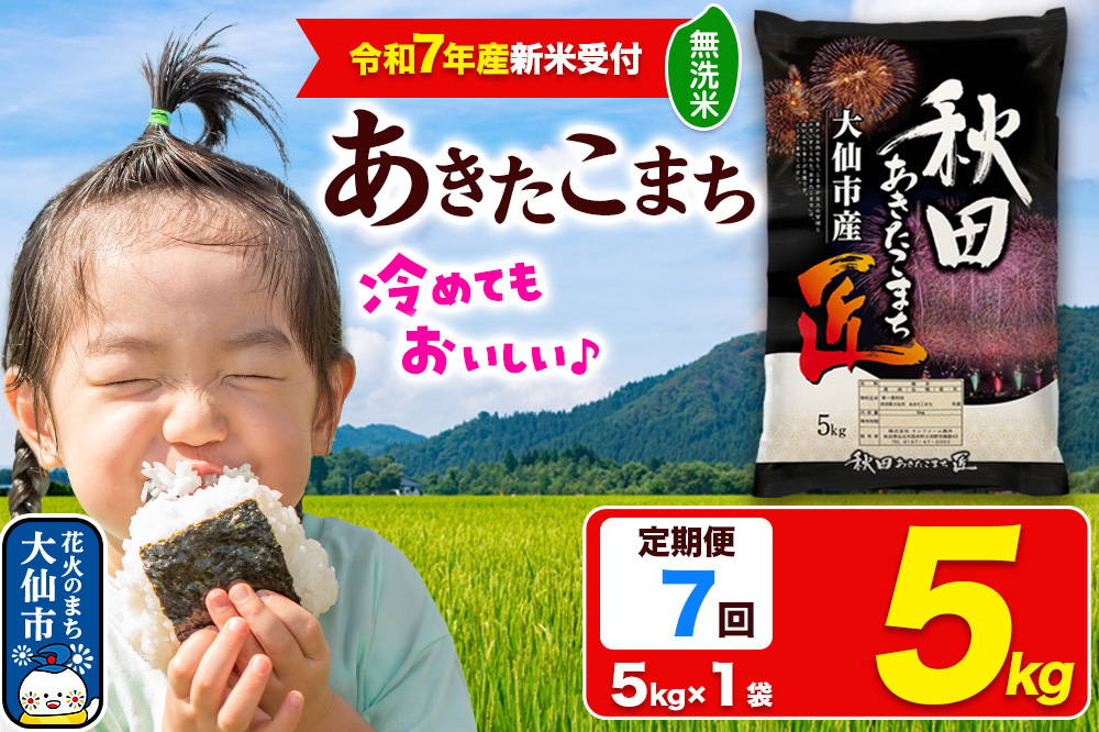＜令和7年産 新米受付＞《定期便7ヶ月》米【無洗米】秋田県大仙市産 あきたこまち 精米 5kg 令和7年産