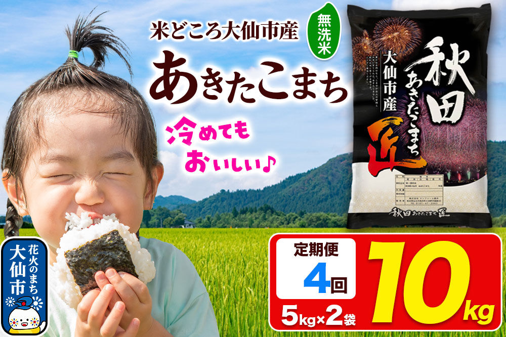 《定期便4ヶ月》米【無洗米】秋田県大仙市産 あきたこまち 精米 10kg（5kg×2袋）令和7年産