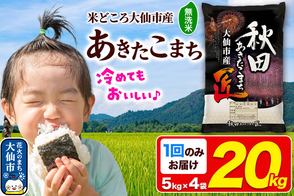 米 あきたこまち【無洗米】20kg（5kg×4袋）秋田県大仙市産 精米 令和7年産 [通算23回 特A 秋田県産 あきたこまち アキタコマチ 秋田こまち 秋田小町 コメ kome 米どころ 5 キロ 小分け ご飯 ごはん 無洗米 サンファーム西木 大仙市]