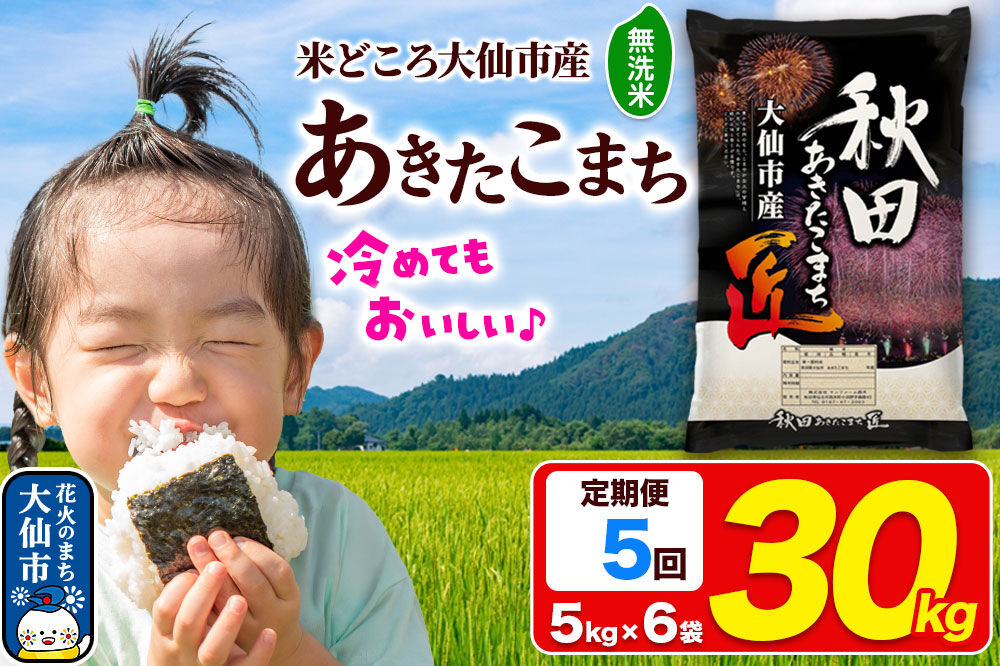 《定期便5ヶ月》米 あきたこまち【無洗米】30kg（5kg×6袋）秋田県大仙市産 精米 令和7年産 [通算18回 特A 秋田県産 あきたこまち アキタコマチ 秋田こまち 秋田小町 コメ kome 米どころ 5 キロ 小分け ご飯 ごはん 無洗米 サンファーム西木 大仙市]