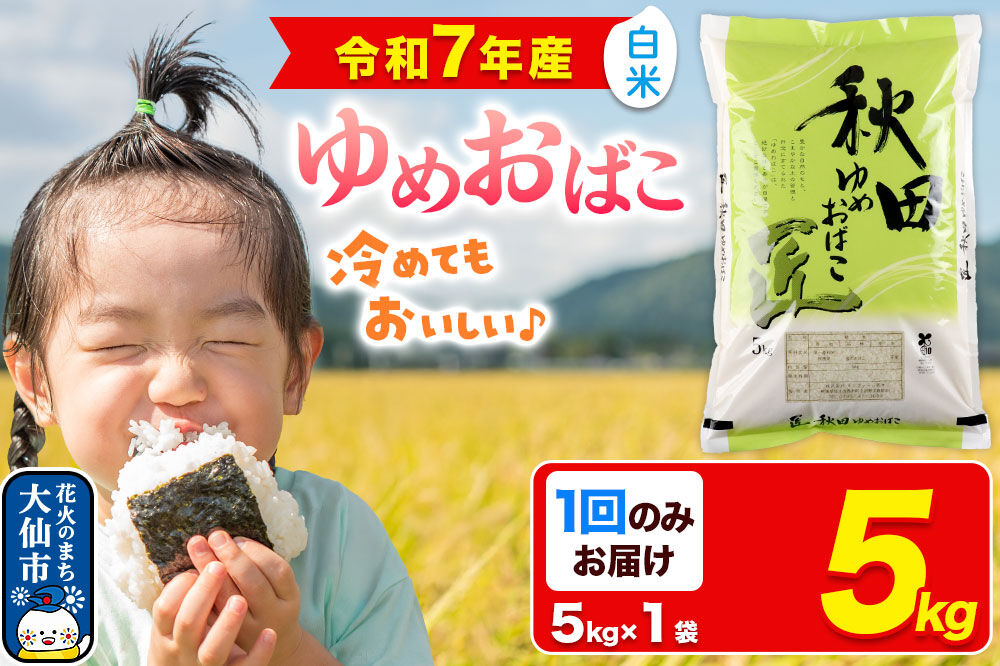 米【白米】秋田県産 ゆめおばこ 精米 5kg（5kg×1袋）令和7年産 大仙市