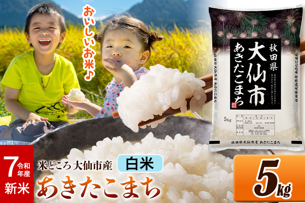 新米 令和7年産 米【白米】米どころ秋田県大仙市産 あきたこまち 精米5kg（5kg×1袋）