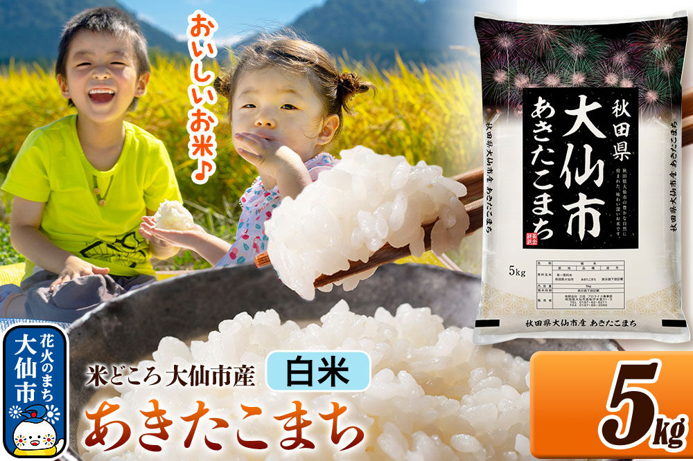 米 あきたこまち【白米】米どころ秋田県大仙市産 令和7年産 精米 5kg（5kg×1袋）