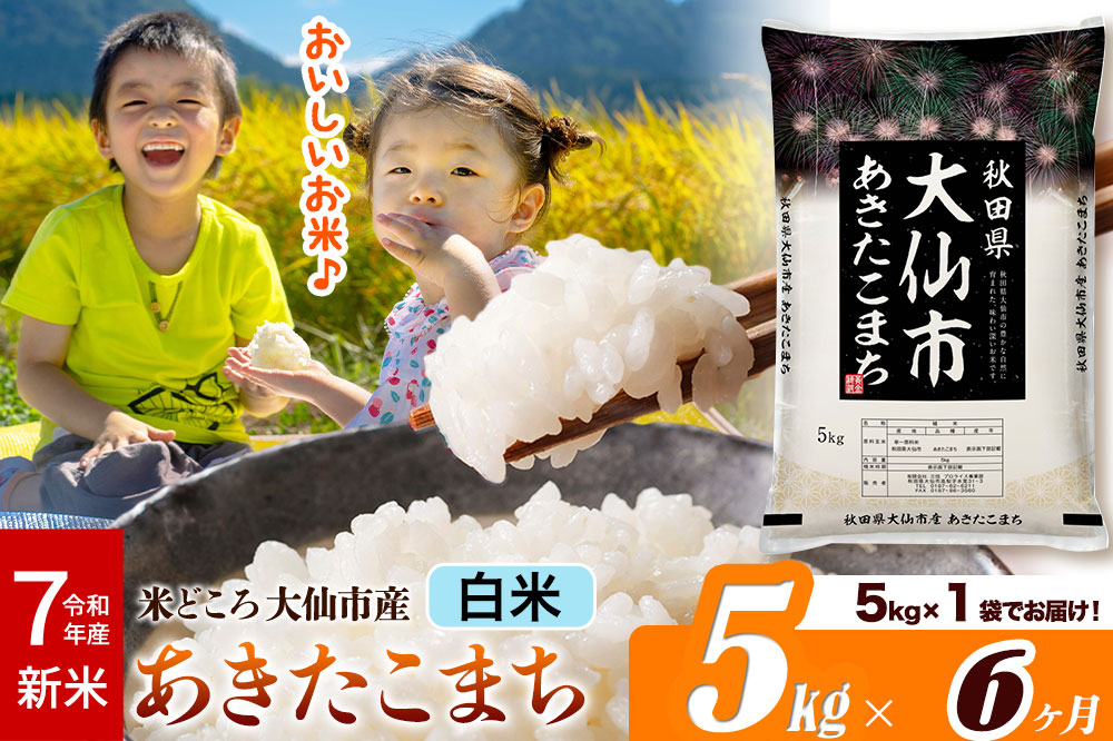 新米 令和7年産《定期便6ヶ月》米【白米】米どころ秋田県大仙市産 あきたこまち 精米5kg（5kg×1袋）