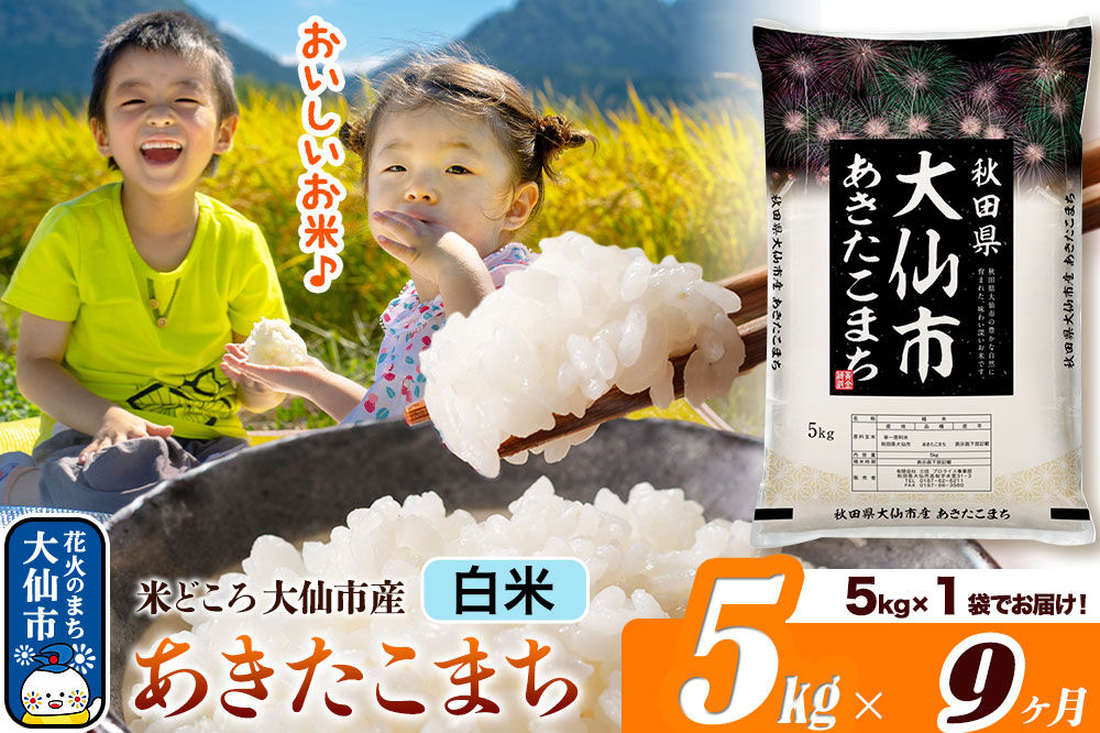 米《定期便9ヶ月》あきたこまち【白米】 米どころ秋田県大仙市産 令和7年産 精米 5kg（5kg×1袋）