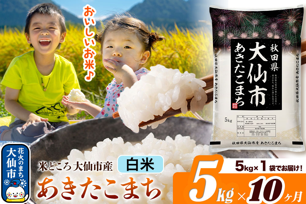 米 令和7年産《定期便10ヶ月》【白米】米どころ秋田県大仙市産 あきたこまち 精米5kg（5kg×1袋）