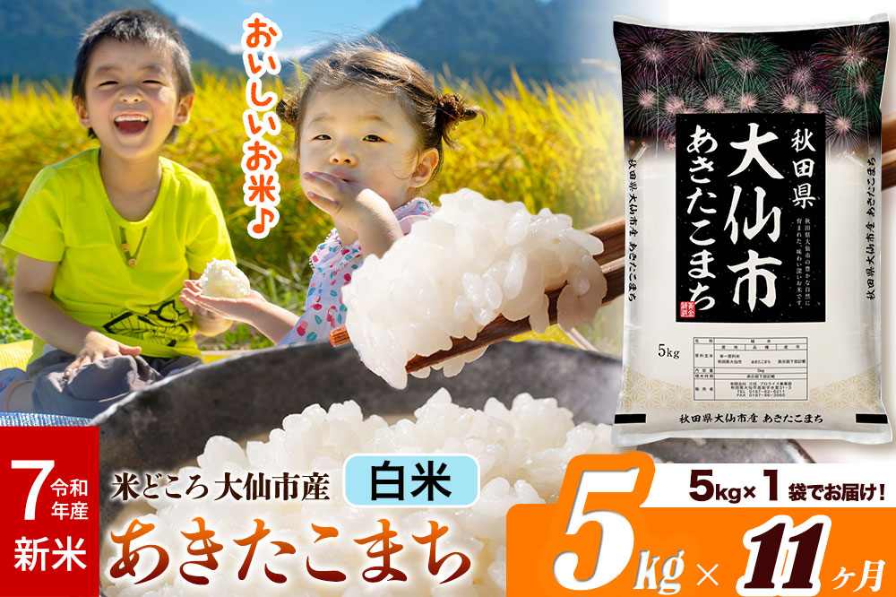 新米 令和7年産《定期便11ヶ月》米【白米】米どころ秋田県大仙市産 あきたこまち 精米5kg（5kg×1袋）