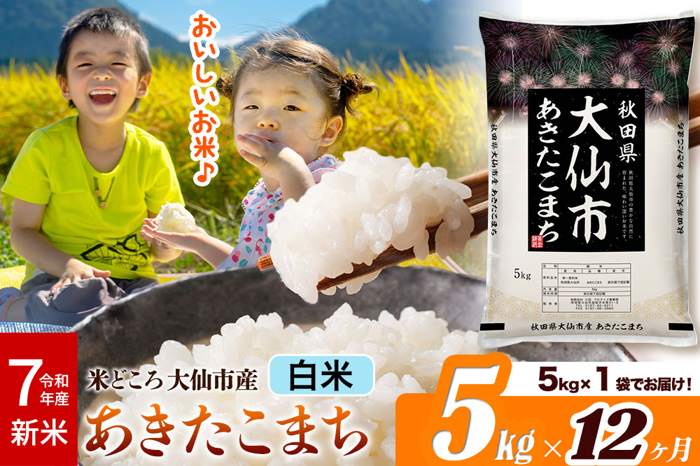 新米 令和7年産《定期便12ヶ月》米【白米】米どころ秋田県大仙市産 あきたこまち 精米5kg（5kg×1袋）