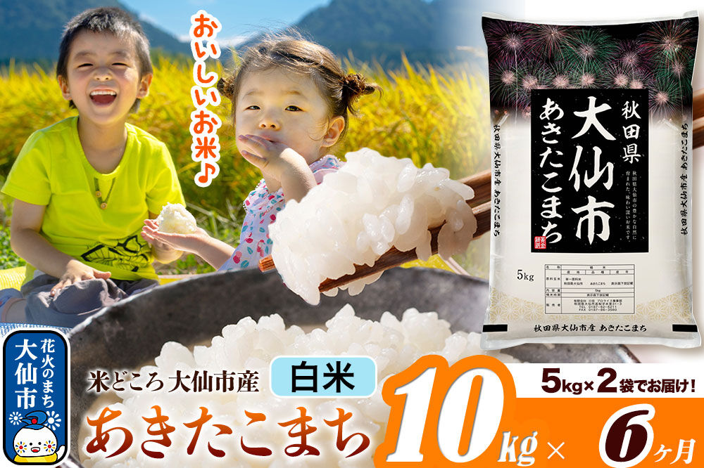 米《定期便6ヶ月》あきたこまち【白米】 米どころ秋田県大仙市産 令和7年産 精米 10kg（5kg×2袋）